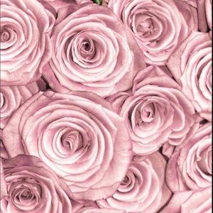 Meet your Posher, Hakuna